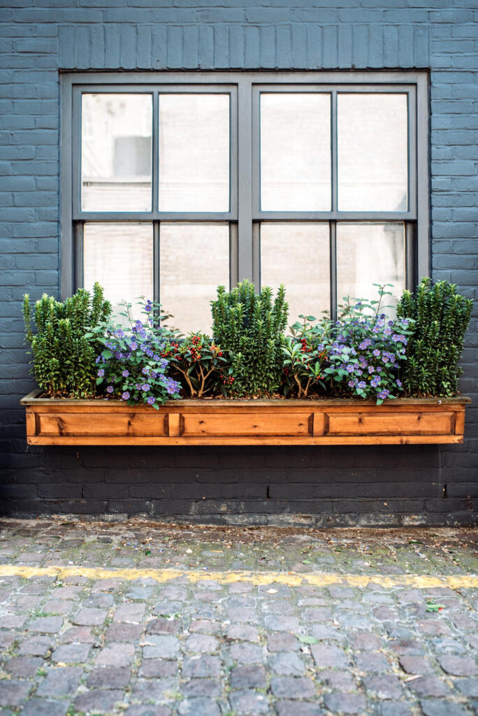 outdoor window