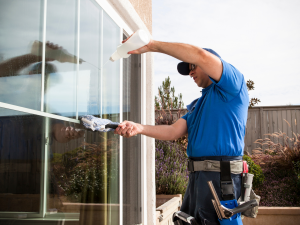 professional window cleaner